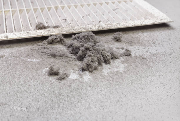Best Emergency Air Duct Cleaning  in Jasper, IN