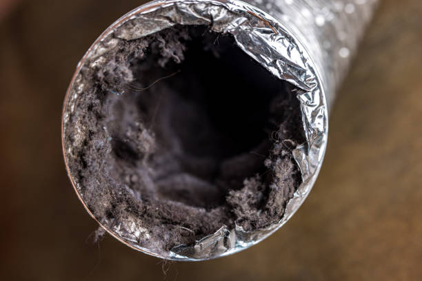 Best Affordable Duct Cleaning Services  in Jasper, IN